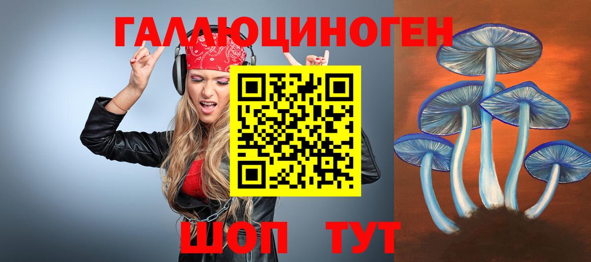 Новошахтинск  Галлюциногенные грибы Psilocybe  Вход с VPN 
